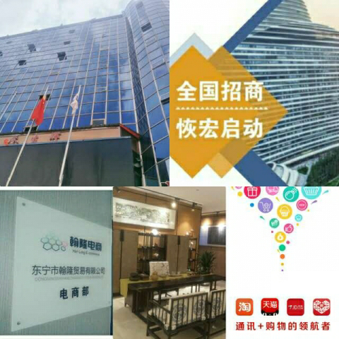 广州翰隆贸易有限公司（电商部）的图标